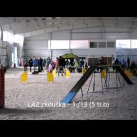 Agility 2016 NICK