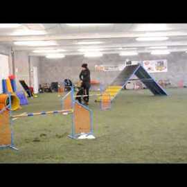 AGILITY 2017