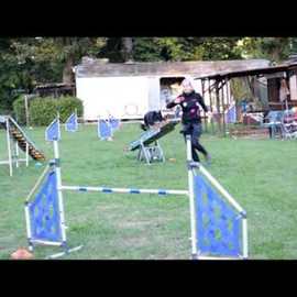 AGILITY 2018