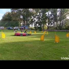AGILITY 2019